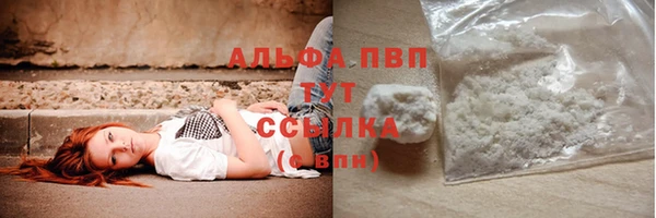 гидра Аша