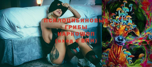 ПСИЛОЦИБИНОВЫЕ ГРИБЫ Остров