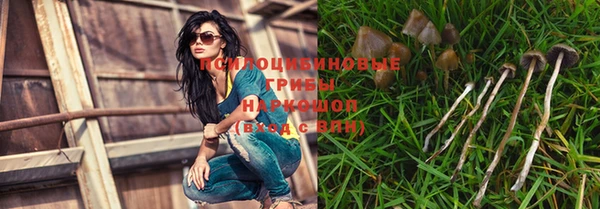 молекула духа Анива