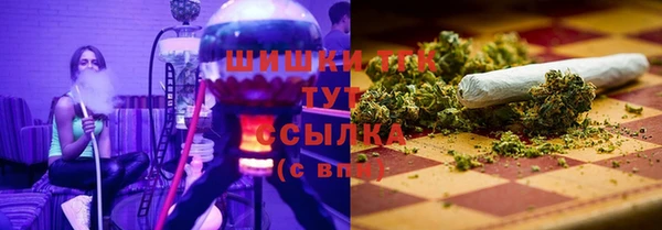 молекула духа Анива