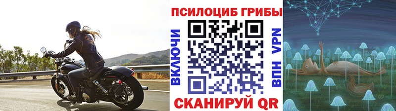 Псилоцибиновые грибы мухоморы  это какой сайт  Берёзовка 